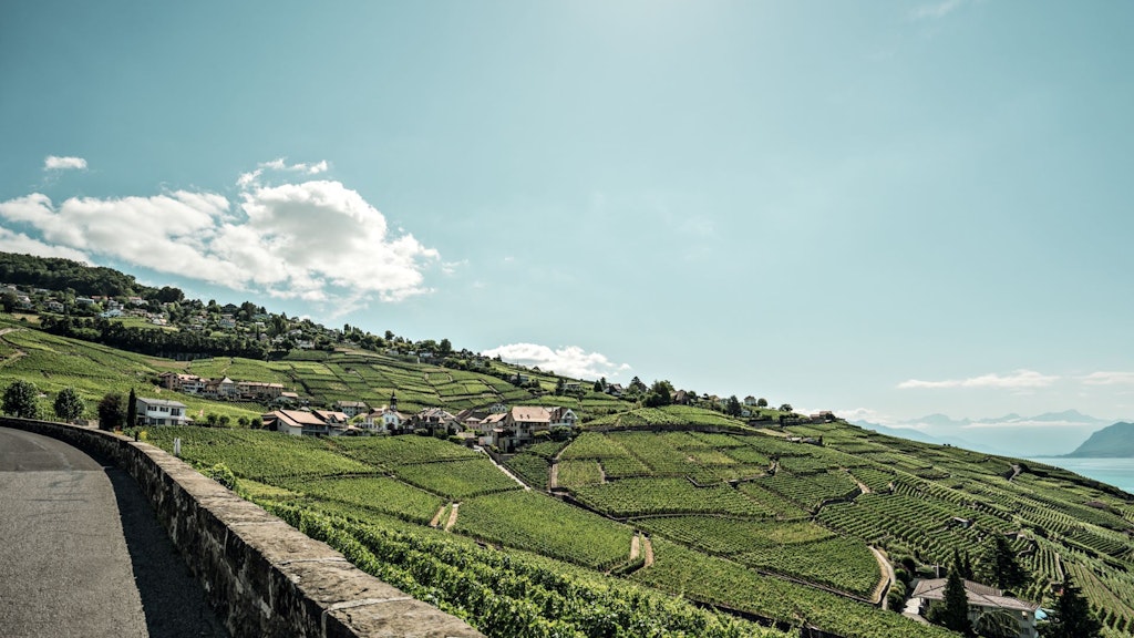 View of the Lavaux vineyards on the shores of Lake Geneva