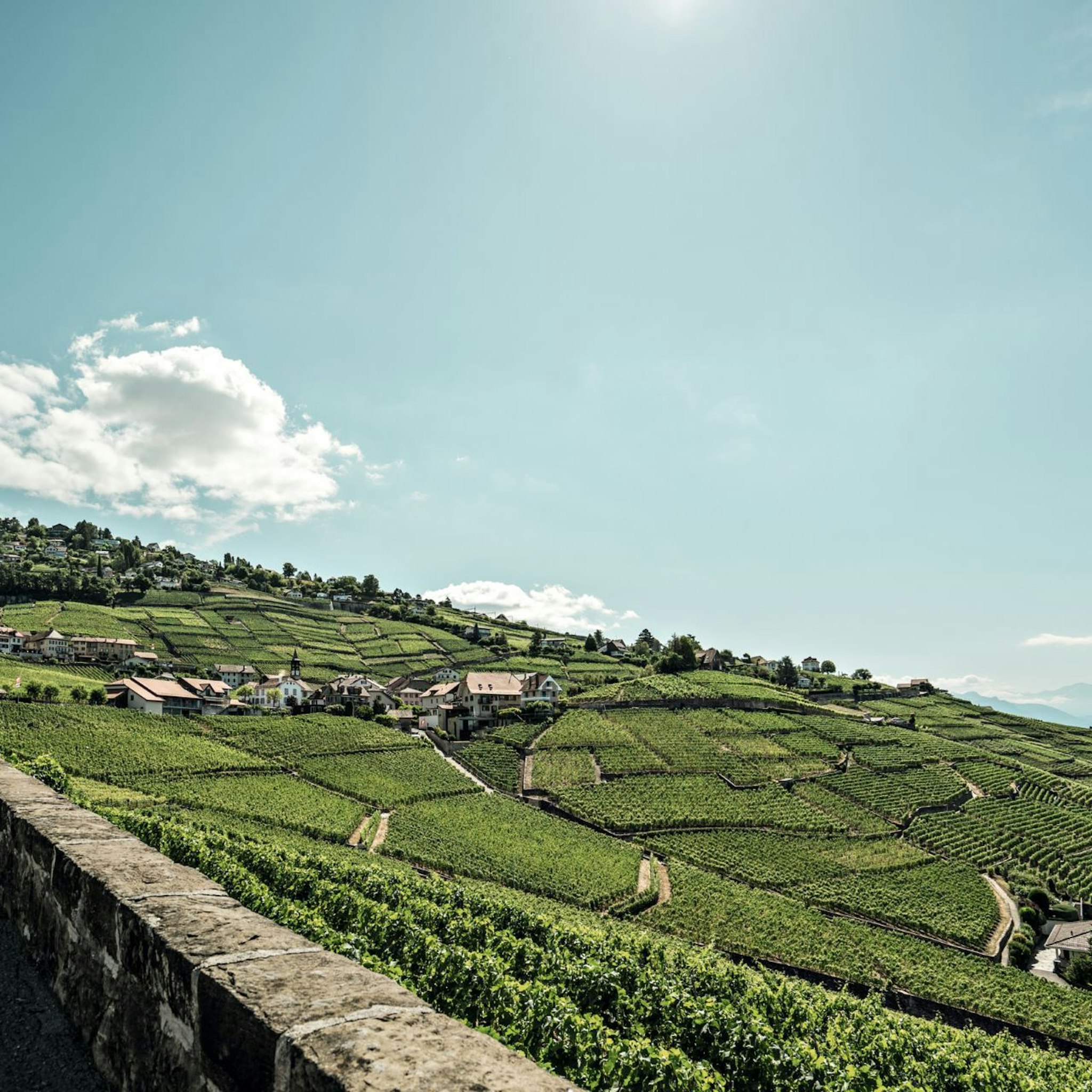 84c2e657-bc64-424e-a69f-