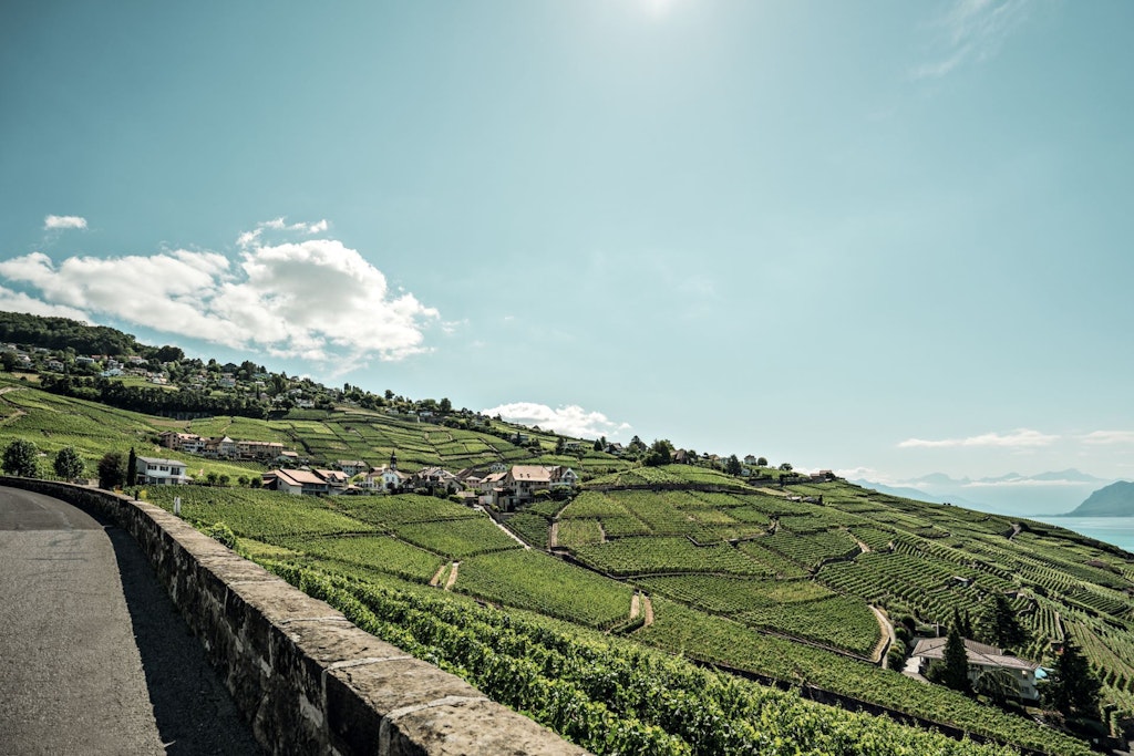 84c2e657-bc64-424e-a69f-