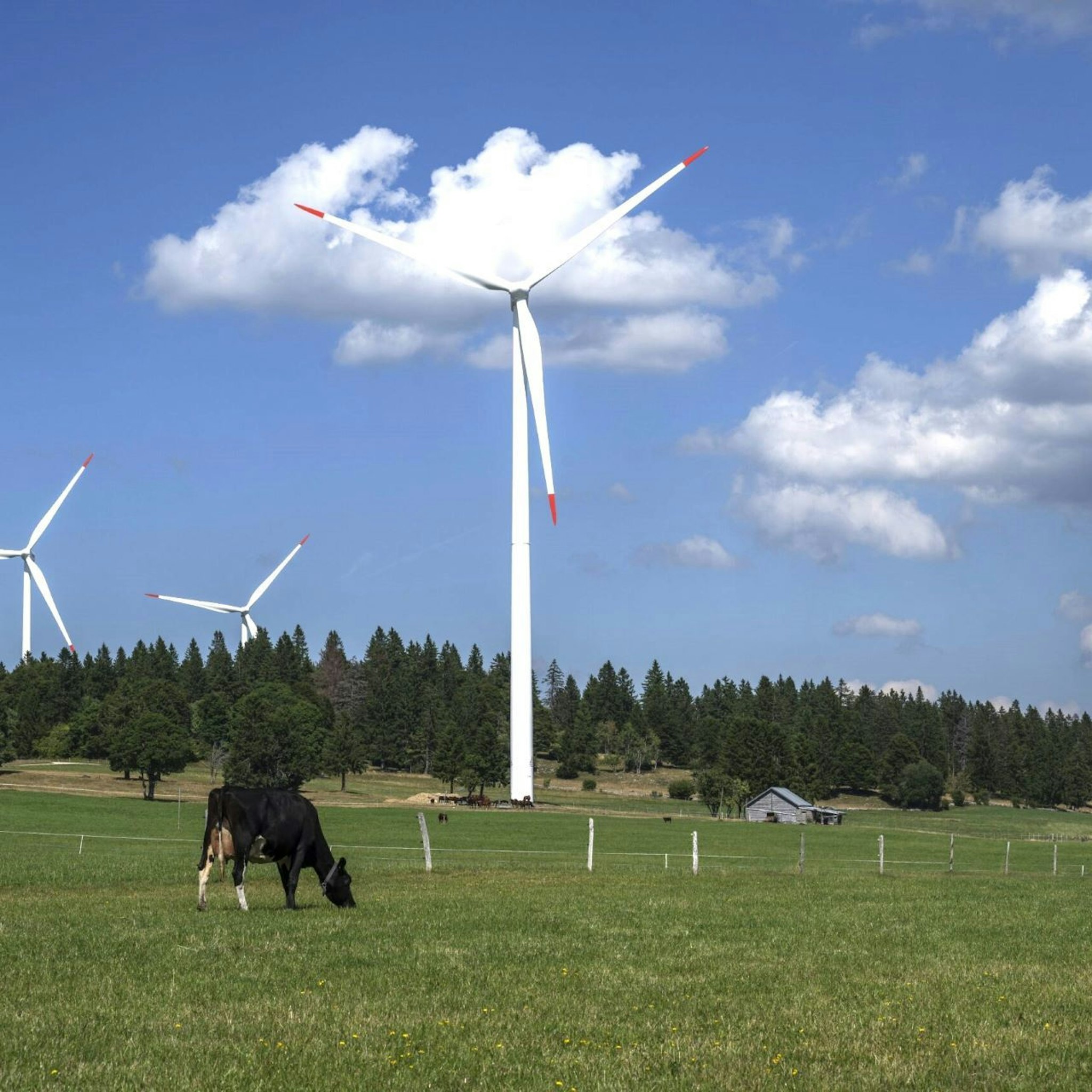 9c70031f-48a2-4e28-b2bd-