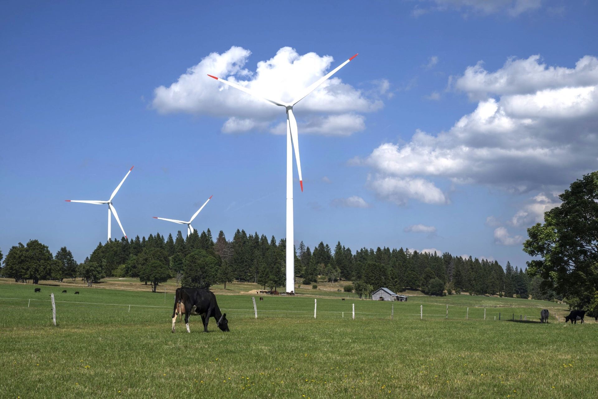 Windpark auf dem Mont Crosin