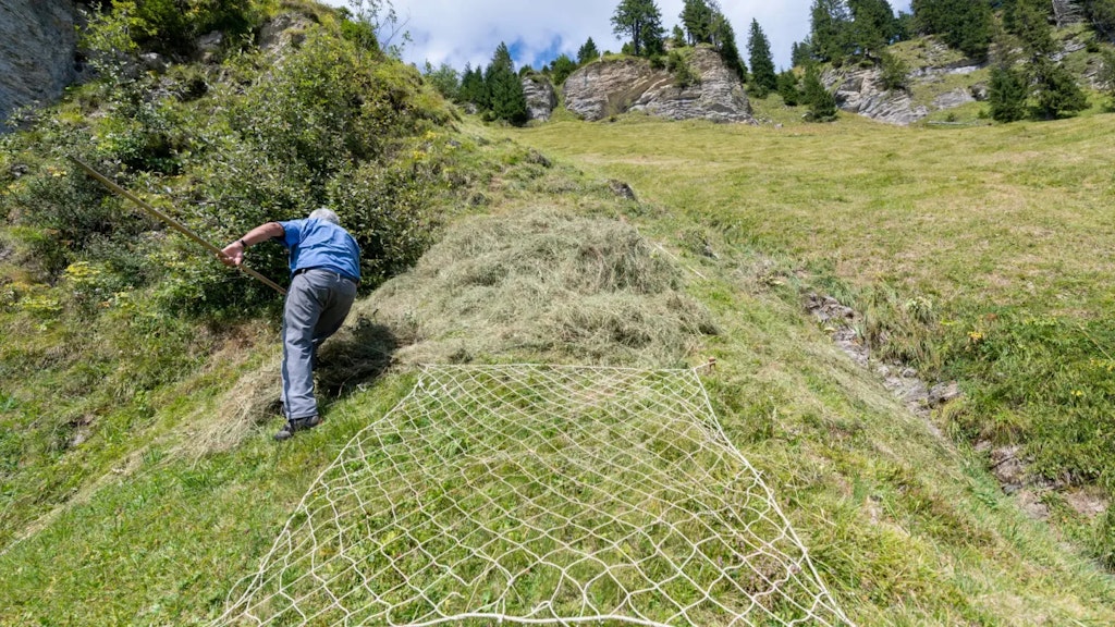 Mann auf einem steilen Grashang, der mit einem Rechen Heu sammelt; davor ein Heuhaufen und ein Netz auf dem Boden, mit Felsen und Bäumen im Hintergrund.