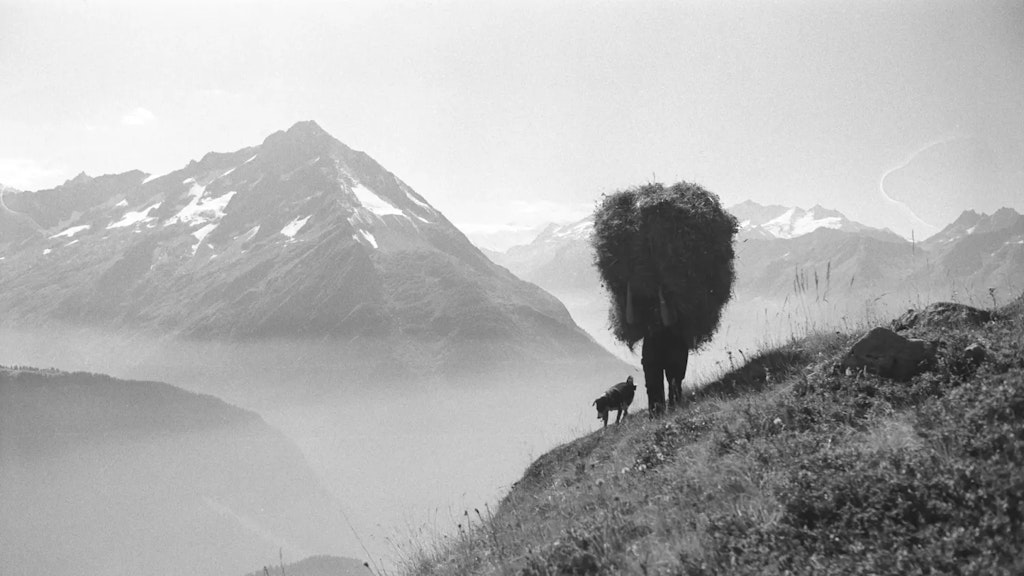 Person trägt eine grosse Ladung Heu auf dem Rücken und geht mit einem Hund einen alpinen Hang entlang, vor einer Kulisse aus schneebedeckten Bergen.