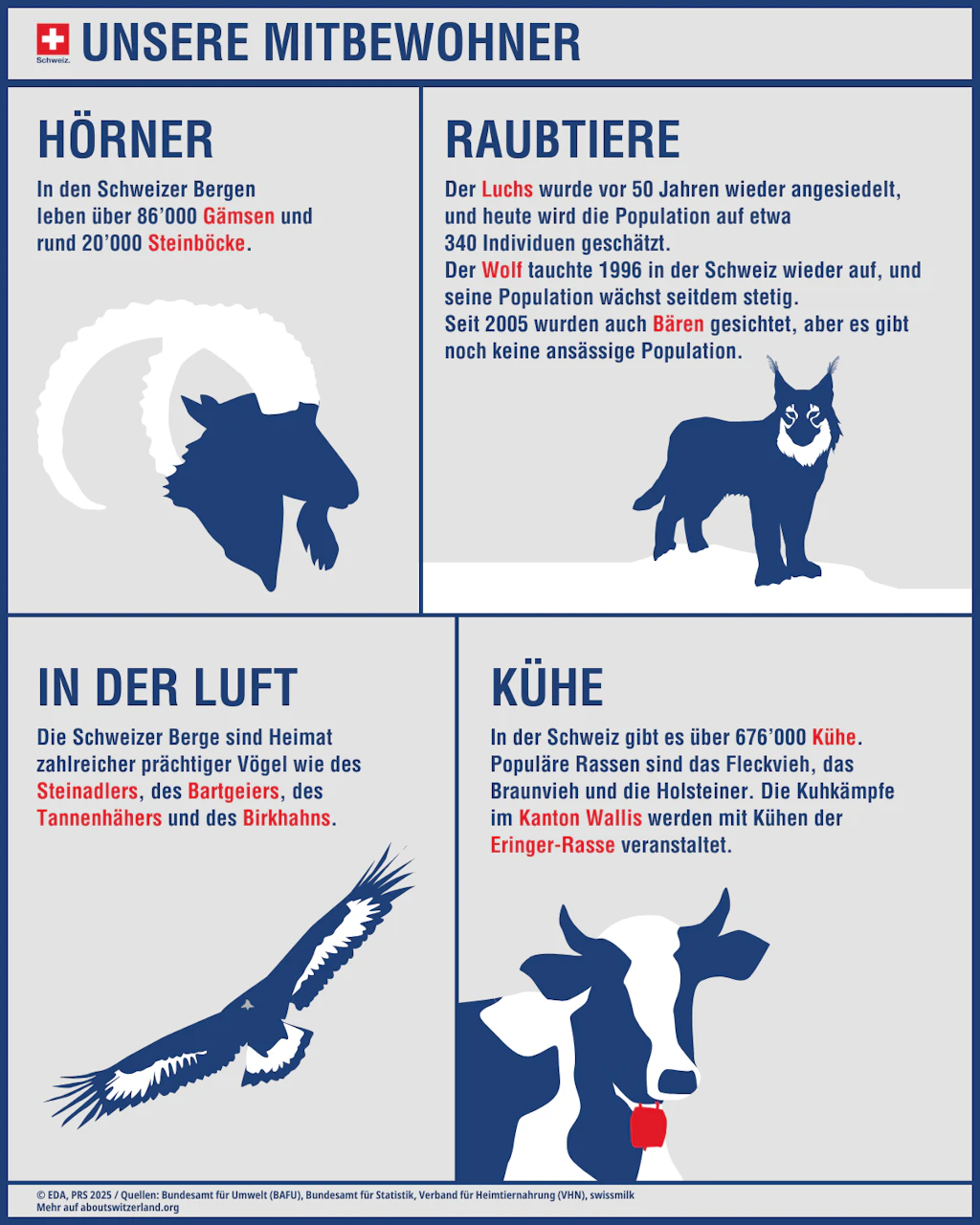 Die Schweizer Tierwelt umfasst etwa Gämsen und Steinböcke, Raubtiere wie Luchs und Wolf, Vogelarten wie Geier und Adler sowie Kühe unterschiedlicher Rassen. 
