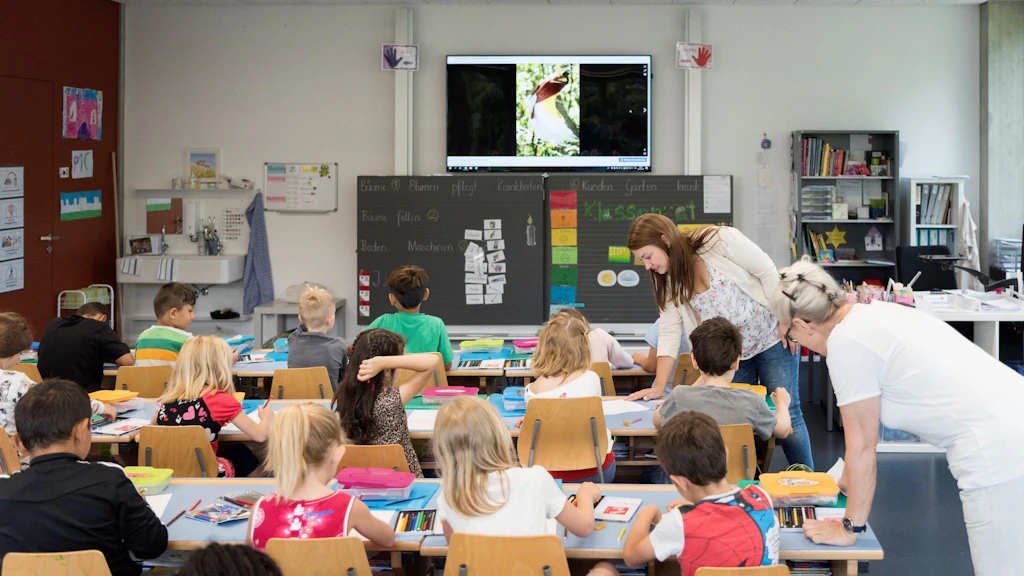Primary school class pictured during a double science and reading lesson at a schoolhouse in Switzerland.