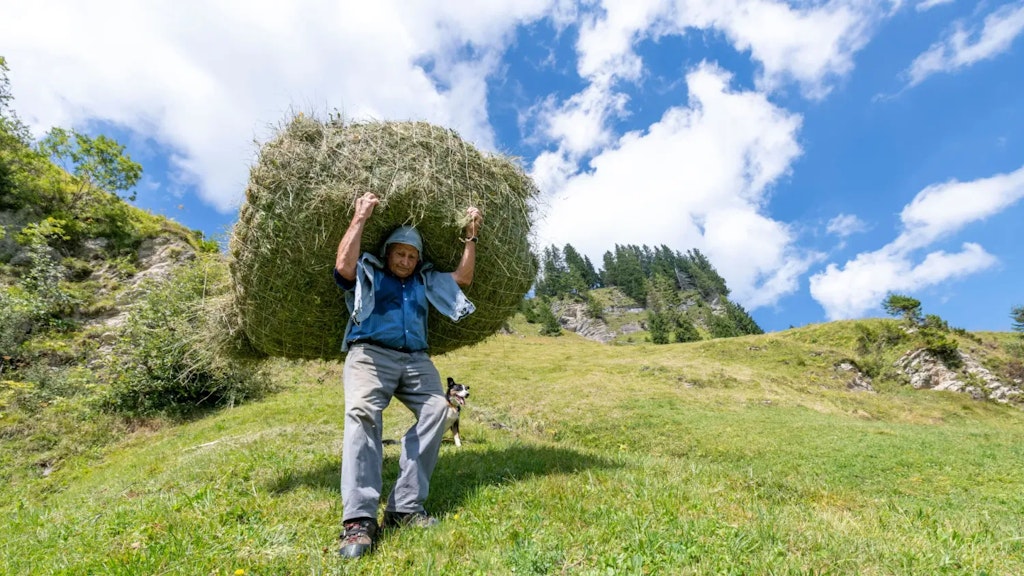 Man walking downhill on a grassy slope carrying a large bundle of hay on his back, with a dog beside him and an alpine landscape in the background.