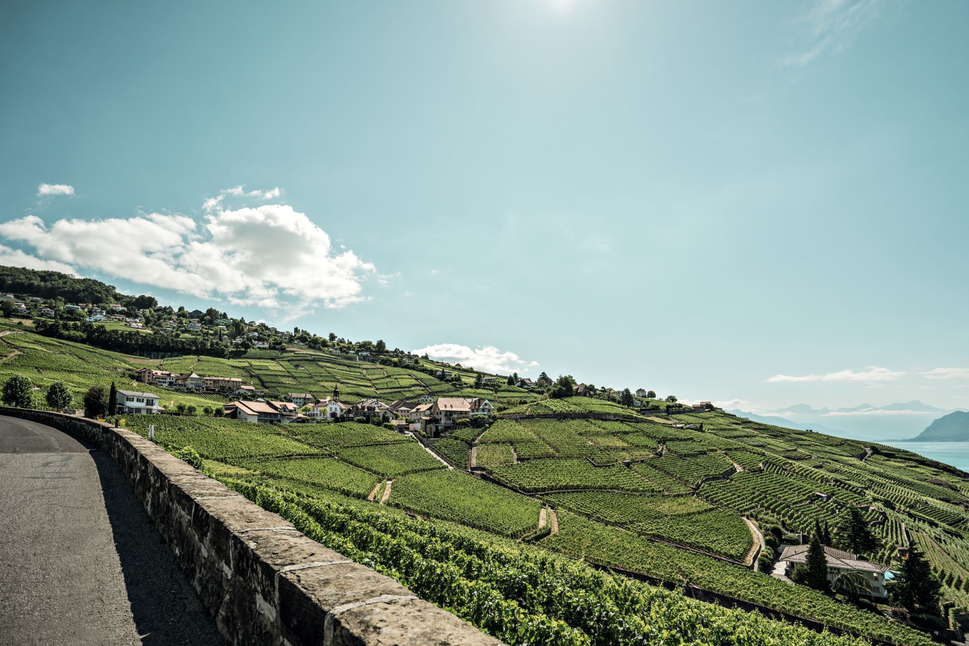 View of the Lavaux vineyards on the shores of Lake Geneva
