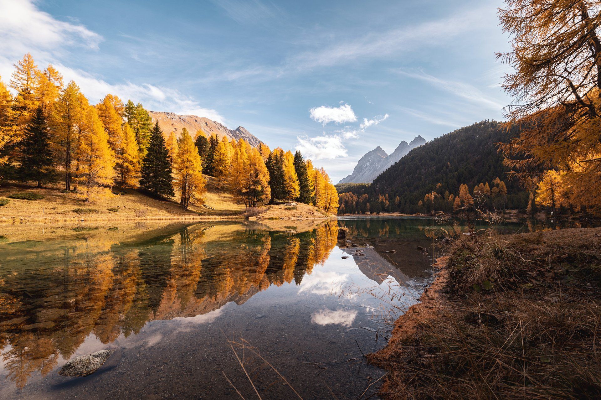 View of Lake Palpuogna in the fall, lined with trees.
