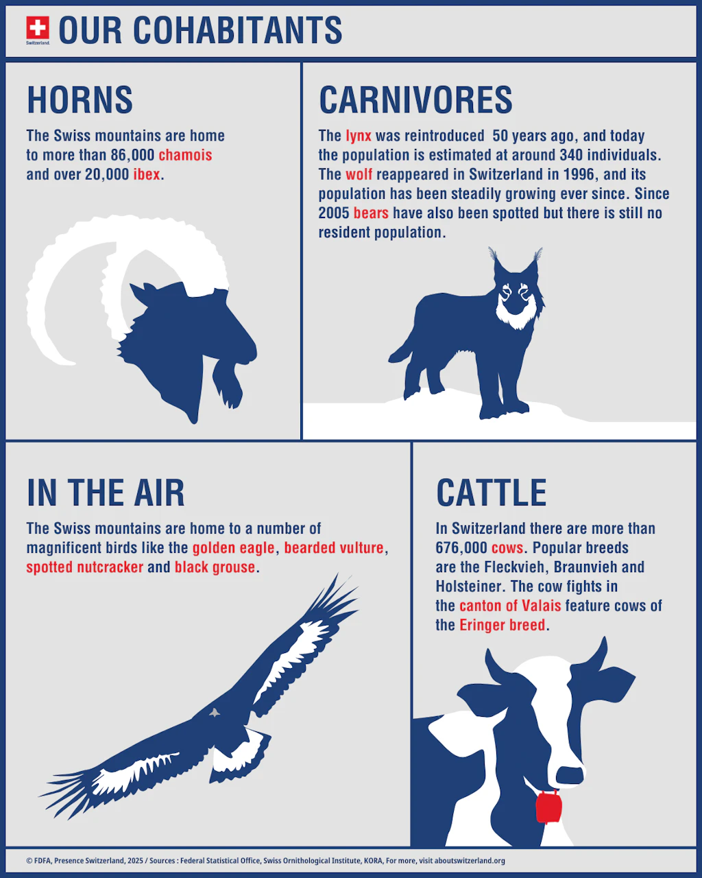 Swiss wildlife includes chamois and ibex, predators such as lynxes and wolves, bird species including vultures and eagles, and various breeds of cattle.  