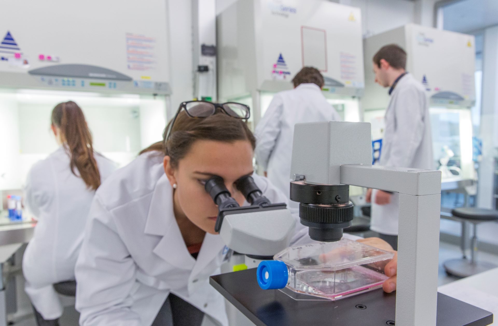 Científicos jóvenes en un laboratorio de investigación.