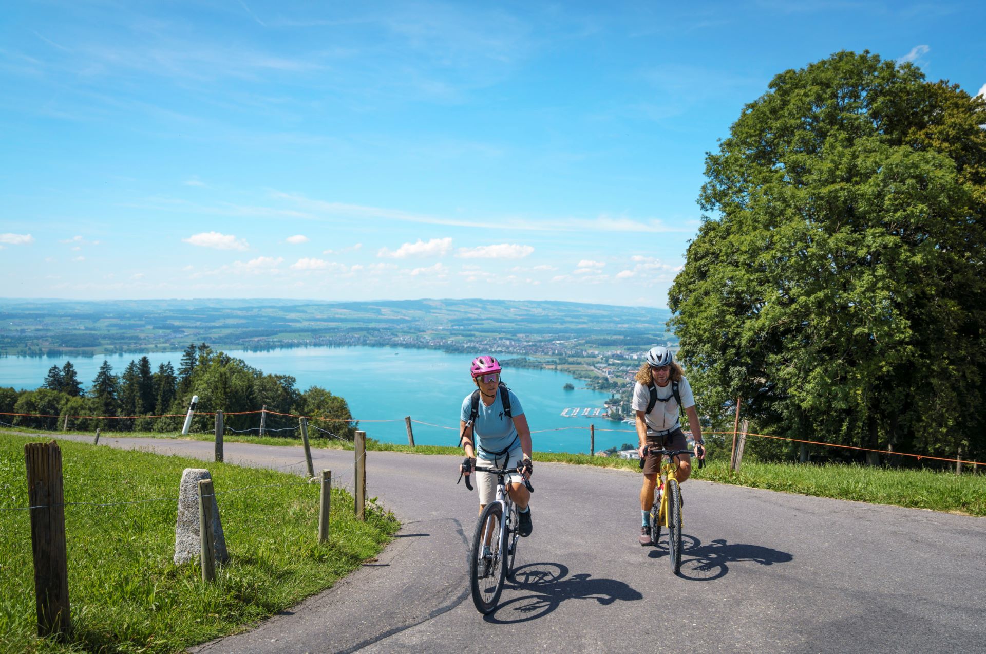 Dos ciclistas en una carretera cerca de un árbol, con un lago y colinas al fondo.