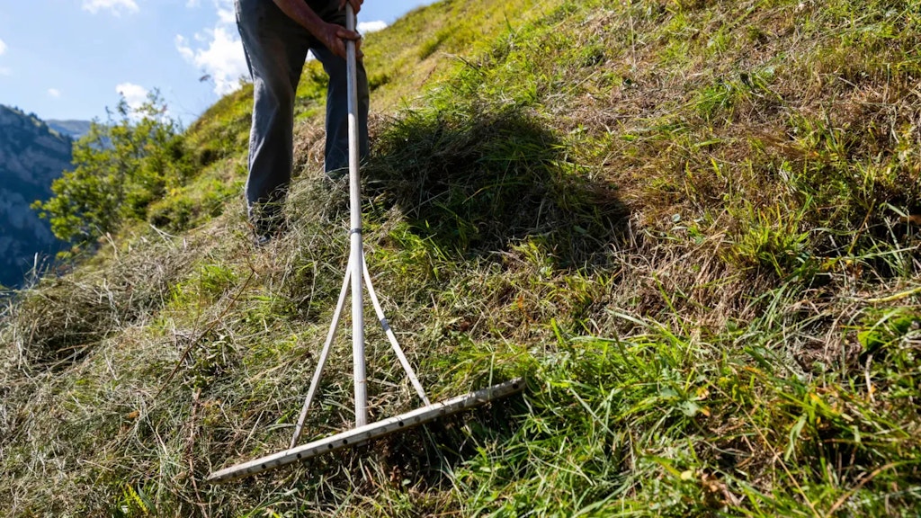Gros plan sur une personne ratissant du foin sur une pente herbeuse avec un long râteau, sous un ciel bleu et en paysage de montagne.