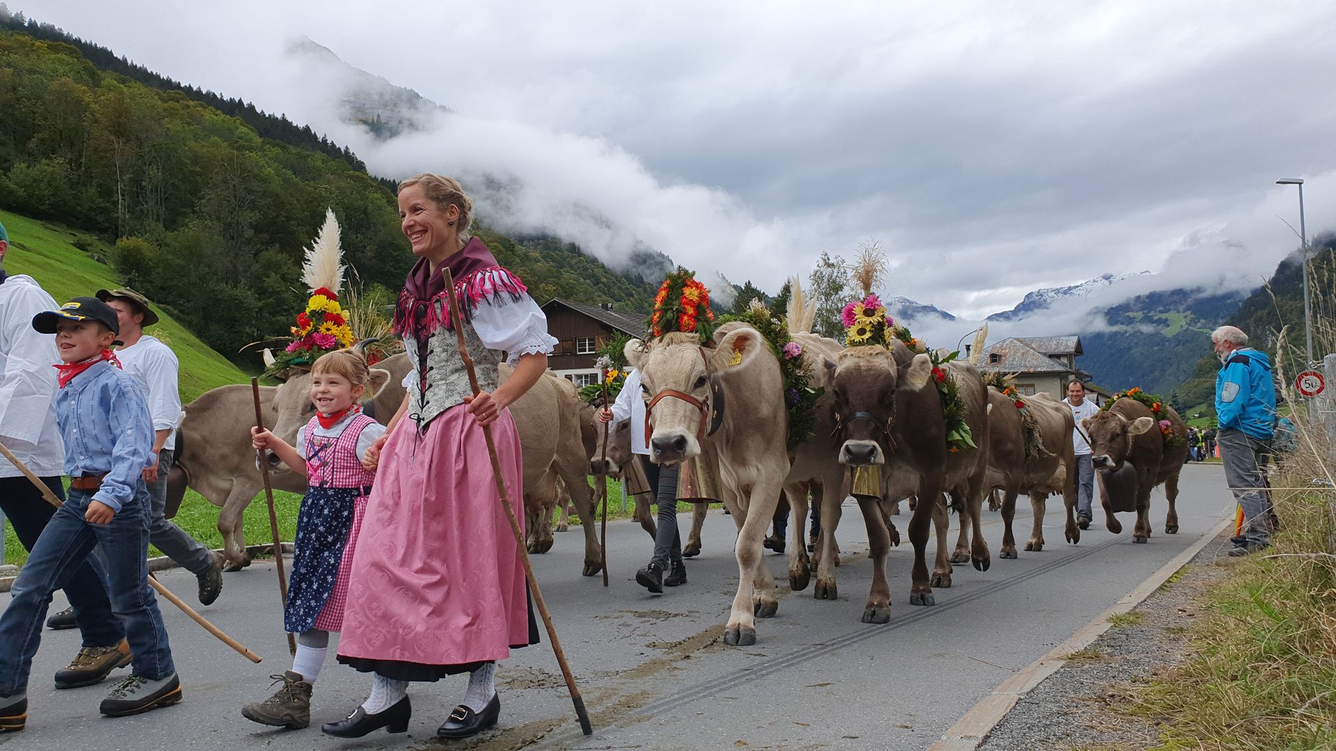 Un troupeau de vaches richement décorées est mené à l’alpage par des personnes vêtues de costumes folkloriques.