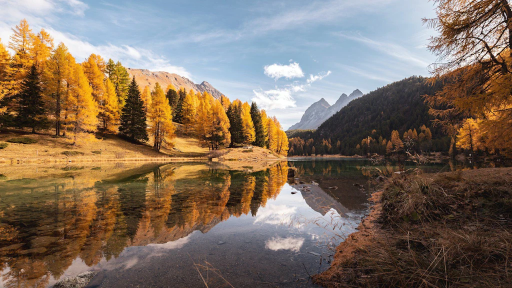 Vue automnale du lac de Palpuogna bordé d’arbres.