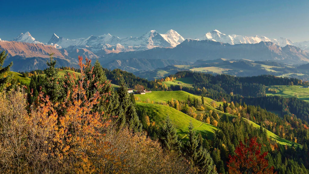 Des étendues vertes et jaunes à perte de vue sont autant de terres agricoles de la région de l'Emmental, localisée dans la partie centrale du Plateau, dans le canton de Berne.