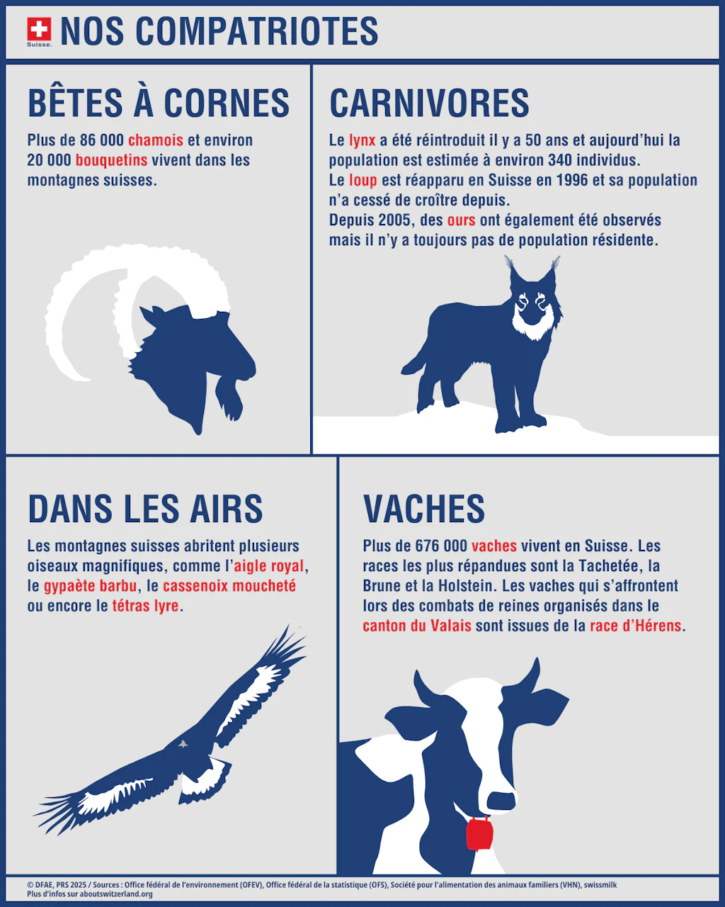 La faune suisse comprend notamment des chamois et des bouquetins, des prédateurs comme le lynx et le loup, des oiseaux comme les vautours et les aigles, ainsi que différentes races de vaches.