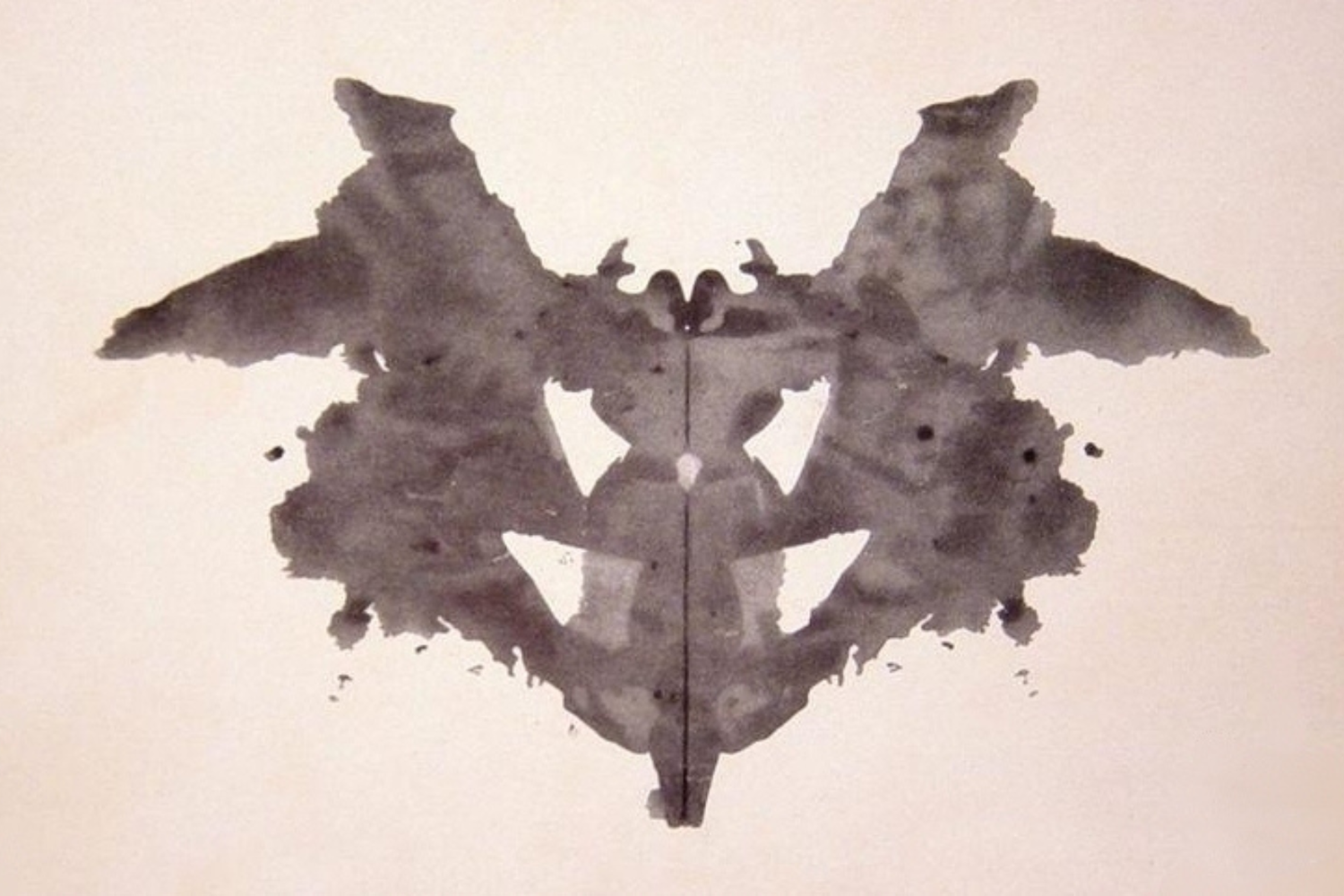 Macchia d’inchiostro grigia simmetrica su sfondo bianco che forma una figura astratta, prima tavoletta del test di Rorschach.