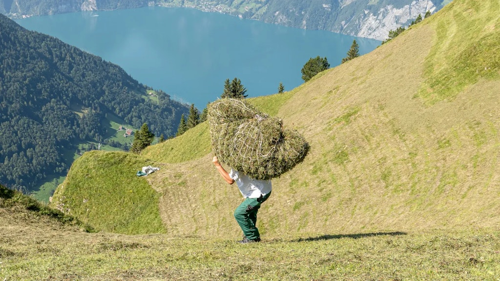 Persona che trasporta un grande carico di fieno su una ripida pendice erbosa, con un lago e montagne sullo sfondo.