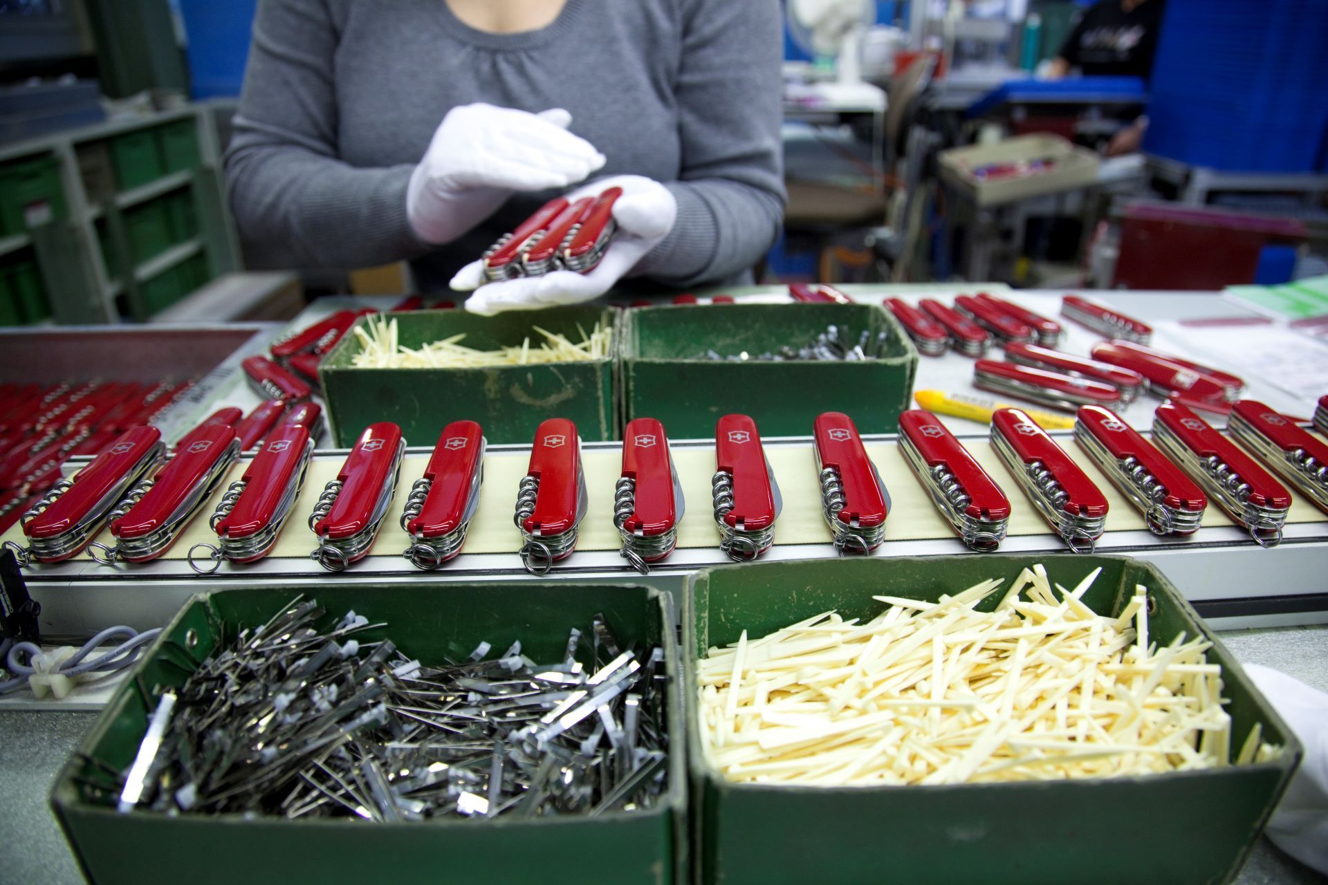 Coltellini svizzeri su un tavolo da lavoro.