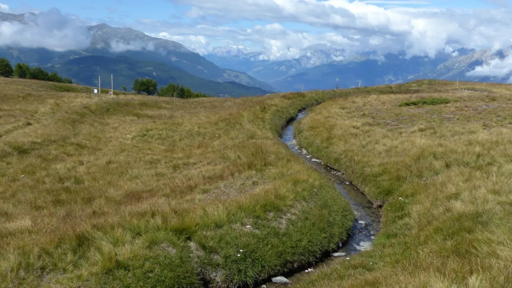 Piccolo canale d’irrigazione che attraversa un prato alpino, con montagne parzialmente coperte da nuvole sullo sfondo.
