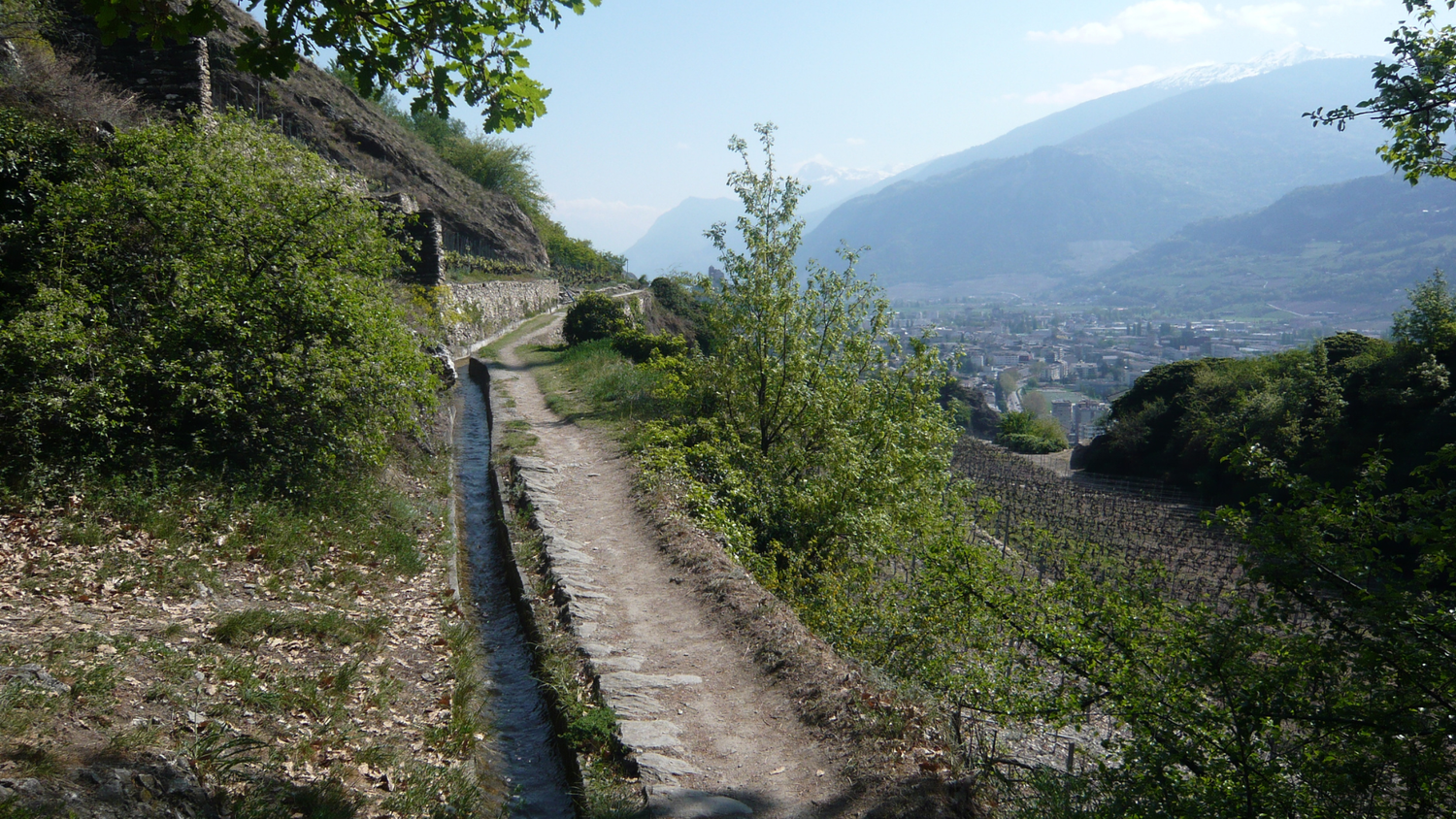 Sentiero stretto che costeggia il Bisse de Montorge su una collina di vigneti, con vista sulla sottostante città di Sion, circondata dalle montagne sotto un cielo limpido.