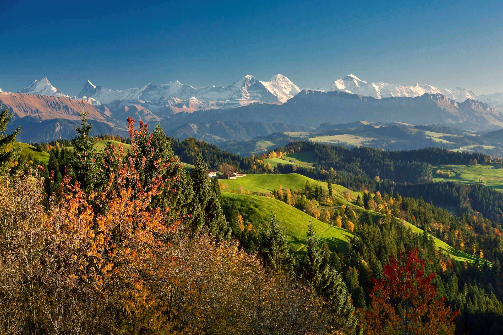Terreni agricoli che formano distese verdi e gialle a perdita d’occhio nella regione dell’Emmental, situata nella parte centrale dell’Altipiano nel Cantone di Berna.