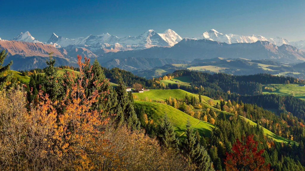 Terreni agricoli che formano distese verdi e gialle a perdita d’occhio nella regione dell’Emmental, situata nella parte centrale dell’Altipiano nel Cantone di Berna.