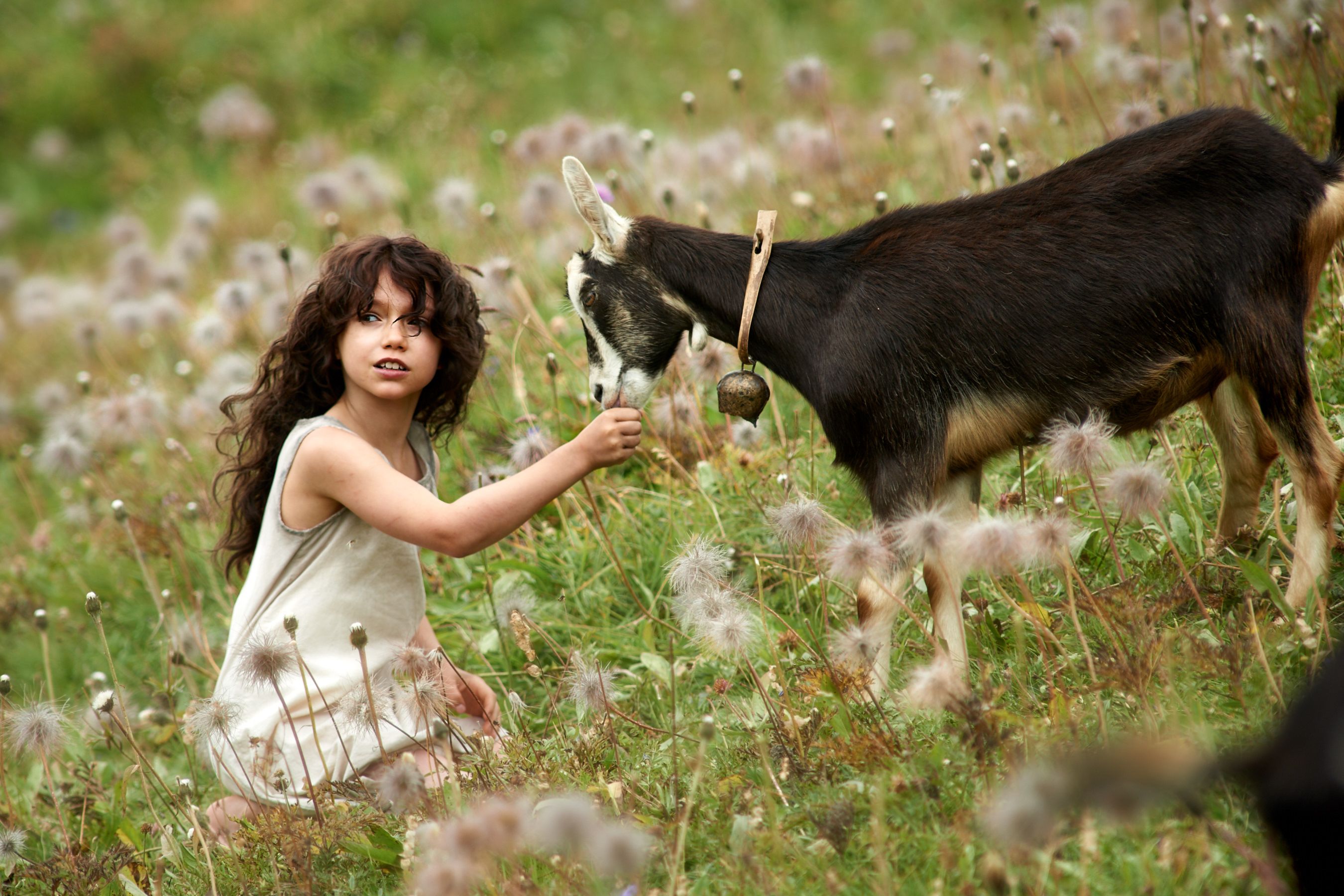 Trecho de filme: Heidi em um prado florido nas montanhas com uma cabra.