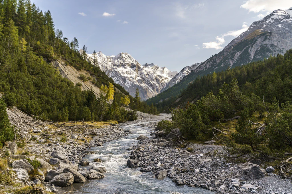 Um riacho alpino cristalino atravessa um vale pedregoso, cercado por florestas de coníferas verdes e altas montanhas nevadas ao fundo. 